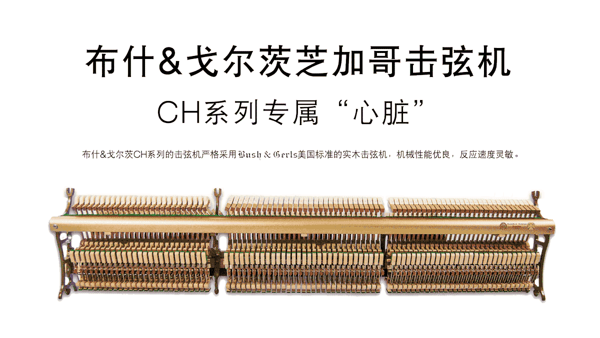 2019102310514019.png